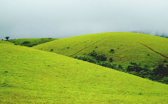 Vagamon