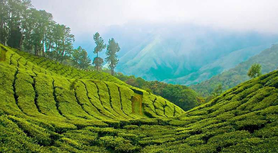 Kerala Tour Packages